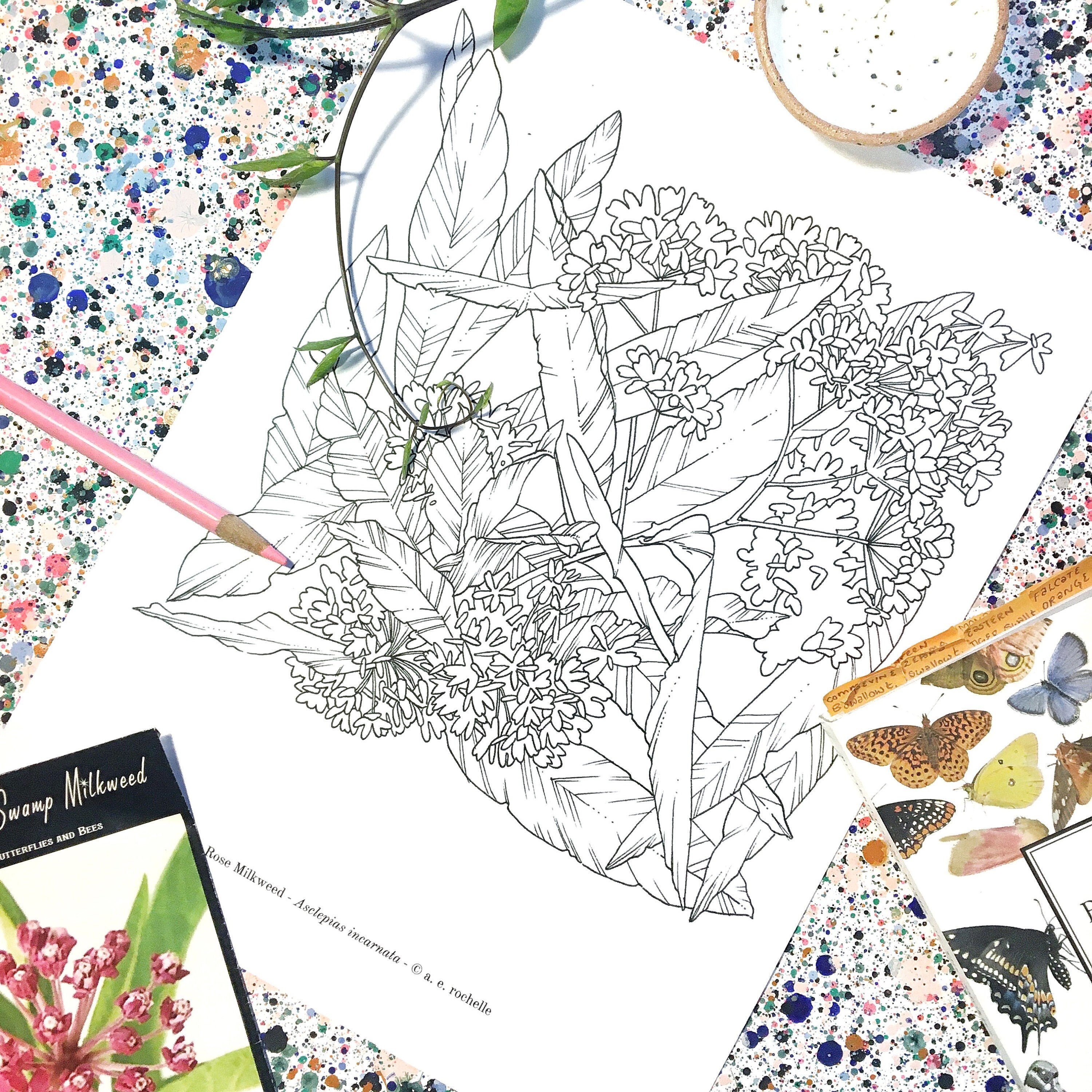 Rose Milkweed Coloring Page, Botanical Coloring Page PDF, Coloring Page