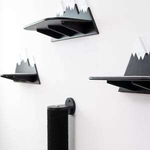 Modern Multifunctional Black Cat Scratcher and Shelves Set  High-Quality Cat Furniture