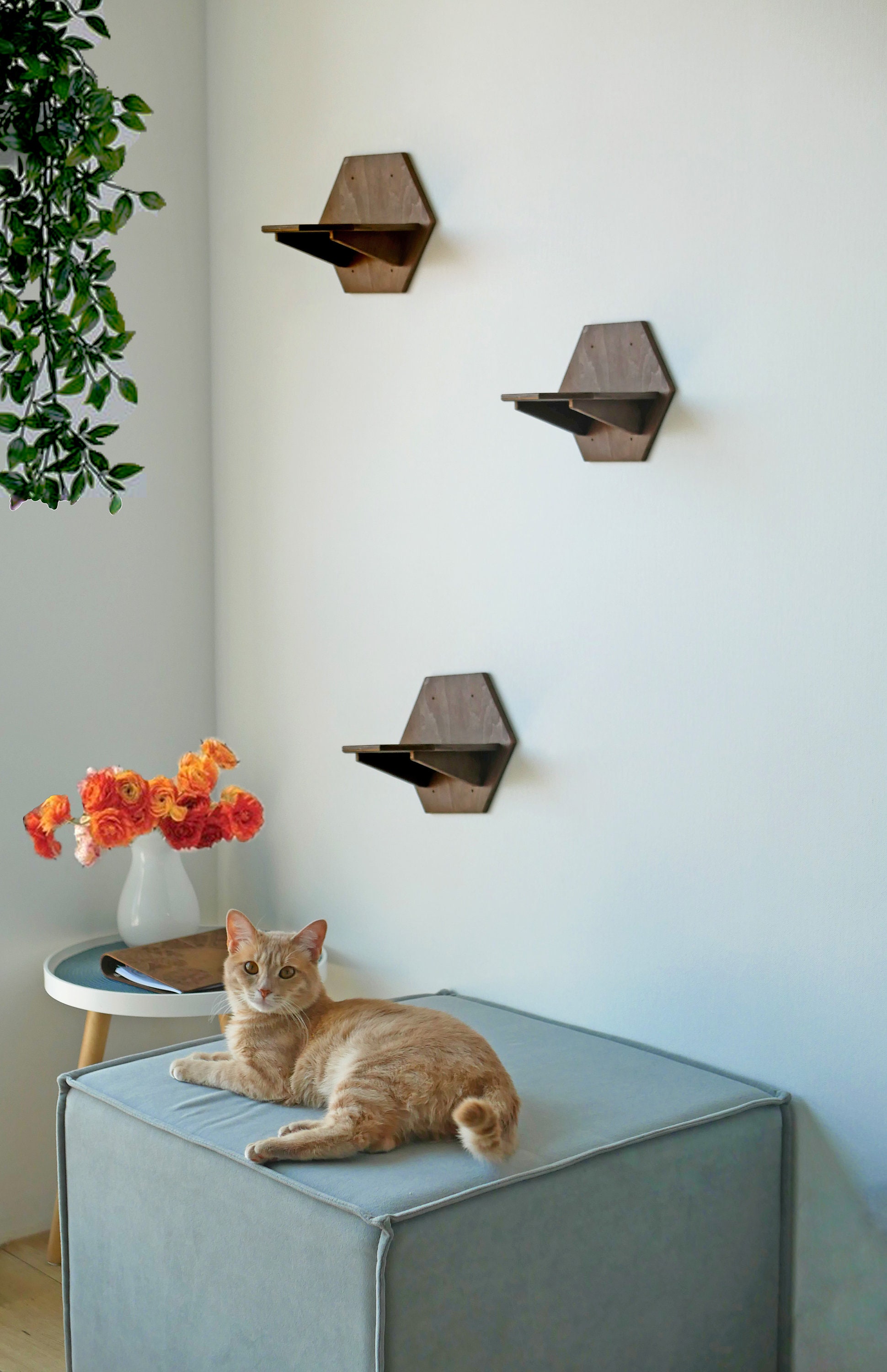 Muebles de gato estante cat estantes de pared cat puente Etsy