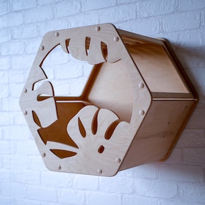 Cat Hexagon shelves, Cat wall furniture, Cat condo