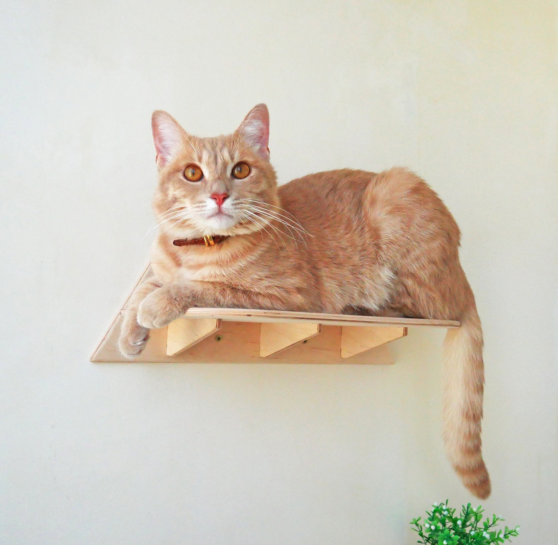 Pet furniture Cat wall shelves Cat tower Cat wall Etsy