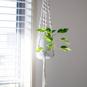 May include: A white macramé plant hanger with a white ceramic pot holding a green and white variegated plant. The plant hanger is suspended in front of a window with white blinds. The plant's leaves have a striking pattern.
