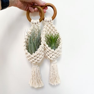 Macrame pod plant hanger, air plant hanger, succulent holder, pot plant holder, pod hanger