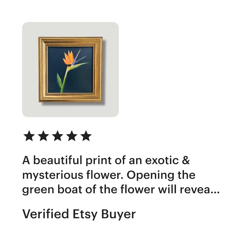 May include: A framed print of a bird of paradise flower. The artwork has a gold frame and a dark blue background. The flower has orange and blue petals with green leaves.