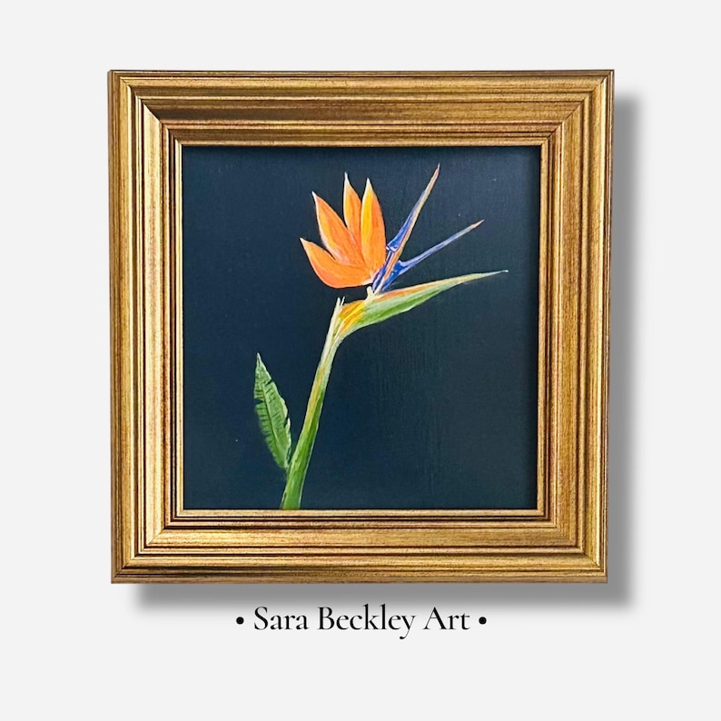 May include: A framed painting of a bird of paradise flower. The flower features orange petals, blue accents, and a green stem and leaves. The artwork is set against a dark blue background and framed in a gold-coloured frame. The text "Sara Beckley Art" is at the bottom.
