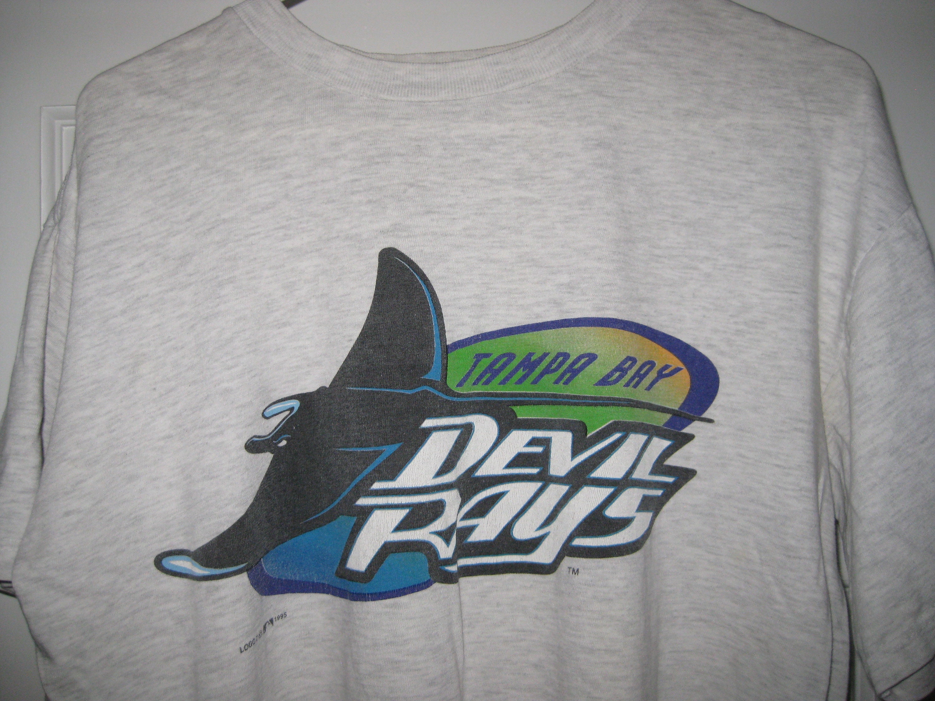 devil rays shirt