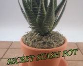 SECRET STASH Faux Succulent - Hide-A-Key Pot - 7-1 2 quot Tall x 3-1 2 quot Wide - quot Hide Your Stash in Plain Sight quot