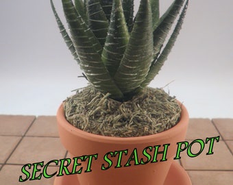 SECRET STASH Faux Succulent - Hide-A-Key Pot - 7-1/2" Tall x 3-1/2" Wide - "Hide Your Stash in Plain Sight!"
