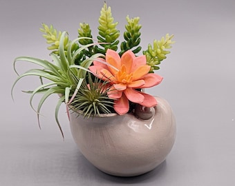 Colorful Artificial Succulent Garden Potted Arrangement from Succulent Perrydise - 6-1/2" Wide x 5-1/2" Deep x 7" Tall - 4 Plants