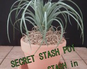 SECRET STASH Faux Succulent - Hide-A-Key Pot - 5-1 2 quot Tall x 3-1 2 quot Wide - quot Hide Your Stash in Plain Sight quot