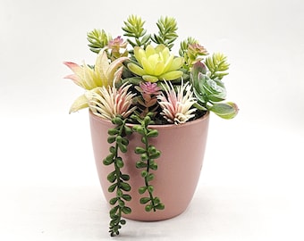 Colorful Artificial Succulent Garden Potted Arrangement from Succulent Perrydise - 7" Diameter  x 7-3/4" Tall - 8 Plants