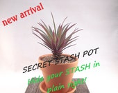 SECRET STASH Faux Succulent - Hide-A-Key Pot - 9-1 2 quot Tall x 4-1 4 quot Wide - quot Hide Your Stash in Plain Sight quot