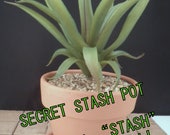SECRET STASH Faux Succulent - Hide-A-Key Pot - 10 quot Tall x 4-1 4 quot Wide - quot Hide Your Stash in Plain Sight quot