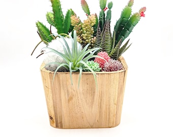 Long Colorful Artificial  Cacti & Succulent Potted Arrangement from Succulent Perrydise - 7-1/2" Wide x 7-1/2" Deep x 9-1/4" Tall- 10 Plants