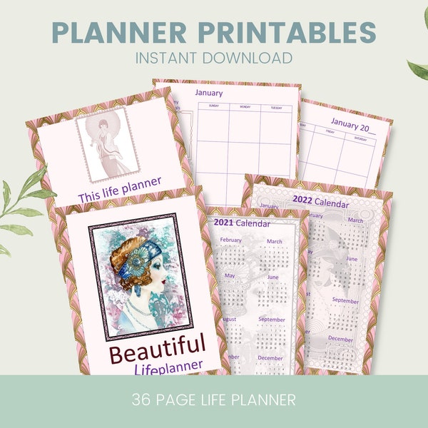 Beautiful 2021 -2022 life planner Monthly Weekly pages printable