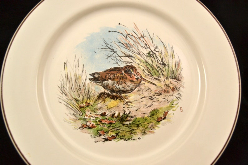 Villeroy /& Boch Fontainebleau #5 Woodcock duck hunting animal scene SALAD PLATE 1980s dinnerware dining tableware 2504