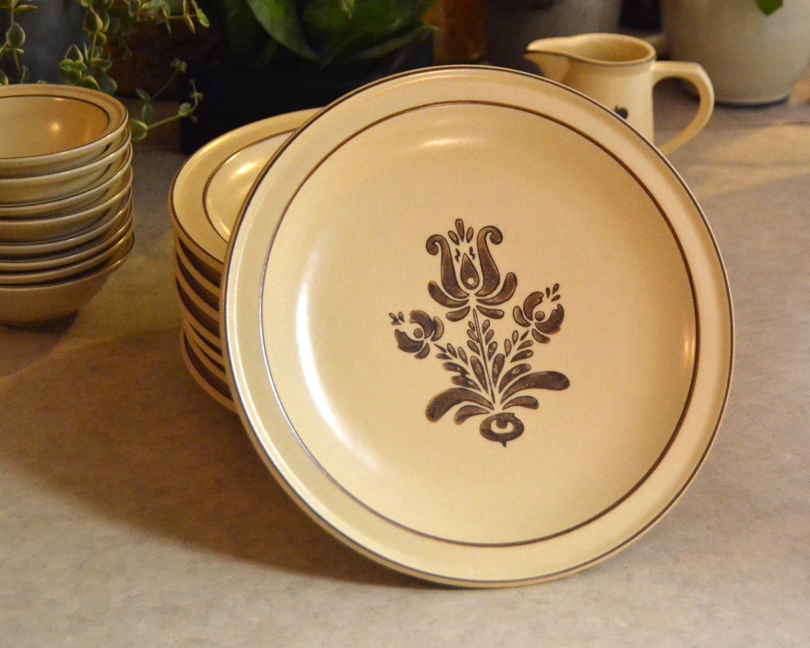 Pfaltzgraff Village DINNER PLATE Stoneware Oven Microwave