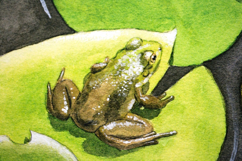Wall Art Frog Watercolor Painting Frog On A Lily Pad Print Green Lily Pad Prints Art Collectibles Brainchild Net