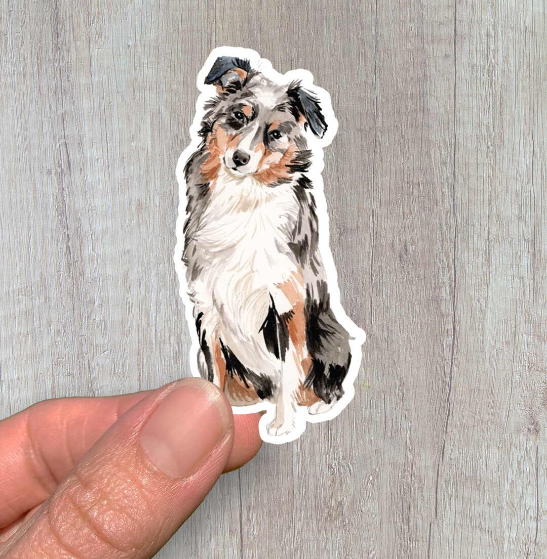 Australian Shepard Sticker/vinyl Dog Sticker/waterproof Water - Etsy