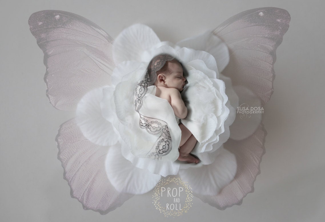 Newborn Digital Backdrops Newborn digital newborn digital Etsy