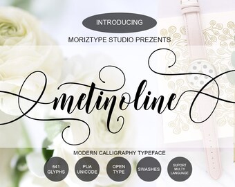 Metinoline Script Calligraphy Font Download Modern Digital Typeface