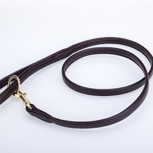 May include: A dark brown leather dog lead featuring a rounded, stitched design and a polished brass swivel snap hook. The lead is coiled in a circular shape, showcasing the smooth texture of the leather and the metallic gold-toned hardware.