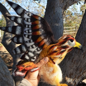 Wunderschöner Nadelgefilzter Rotschwanzbussard von Wilmawau