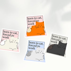 Könnte beinhalten: Vier Aufkleber mit jeweils einer Katze, jede Katze hat eine andere Farbe. Die Aufkleber sagen "geboren zum Katzen, gezwungen zu arbeiten".