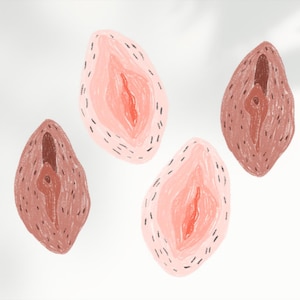 Vulva Sticker Set – 2 large or 4 small stickers