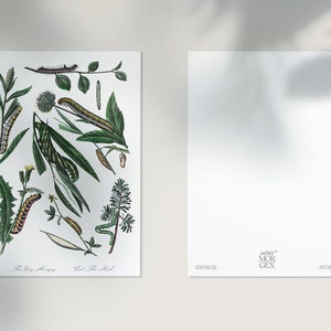 Aktivismus-Postkarten (2 Stück) mit botanischer Zeichnung von Pflanzen und Raupen und verstecktem »Eat The Rich« Statement