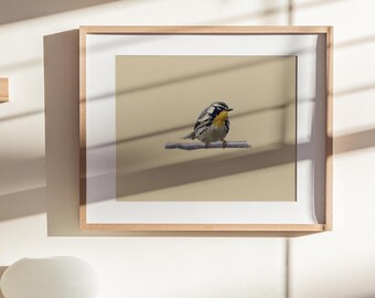 Reinita de garganta amarilla / Lámina de arte de aves
