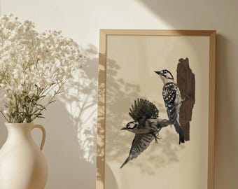 Pájaro carpintero de cresta roja / Lámina de arte de aves