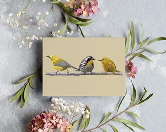 Juego de tarjetas de felicitación Warbler Trio / 1 pieza, 10 piezas, 30 piezas, 50 piezas