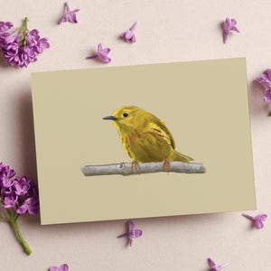 Yellow Warbler Greeting Card Set | 1-piece, 10-piece, 30-piece, 50-piece Sets