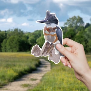 Kingfisher Bird Vinyl Sticker: Nature-Inspired Art Decor