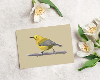 Juego de tarjetas de felicitación de reinita protonotaria (1 pieza, 10 piezas, 30 piezas, 50 piezas)