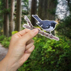 Whimsical Bird Vinyl Decals, Nature Lovers Gift, Home Decor, Stickers for Windows, Scrapbooking, Eco-Friendly Decor