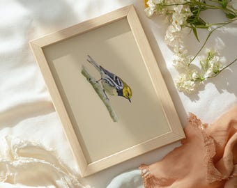 Reinita verde de garganta negra / Lámina de arte de aves