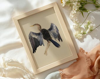 Anhinga / Lámina de arte de aves