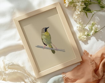 Chipe gorjiamarillo común / Lámina de arte de aves