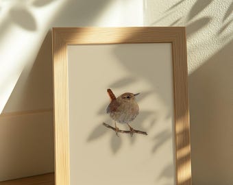 Chochín invernal / Lámina de arte de aves