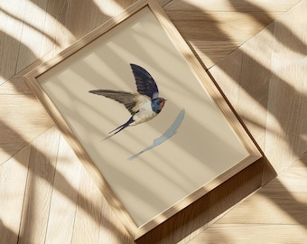 Golondrina común / Lámina de arte de aves