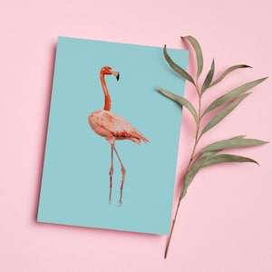 Vibrant Flamingo Greeting Card Set | 1-piece, 10-piece, 30-piece, 50-piece