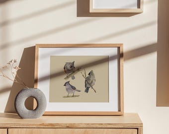 Carbonero copetudo / Lámina de arte de aves