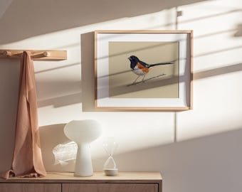 Toquí oriental / Lámina de arte de aves