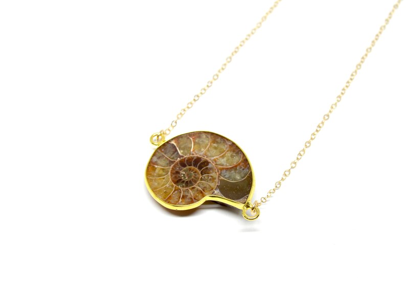 Ammonite Necklace on 16 Inch Solid Gold Chain