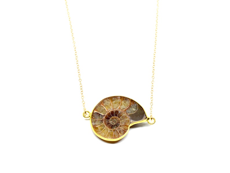 Ammonite Necklace on 16 Inch Solid Gold Chain