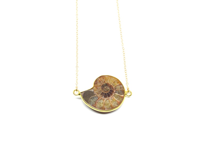 Ammonite Necklace on 16 Inch Solid Gold Chain