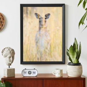 Kangaroo Print - Australian Wildlife Photography - Nature Photo Print - Stretched Canvas Wall Art - Poster - Kangaroo Art - Australian Print
