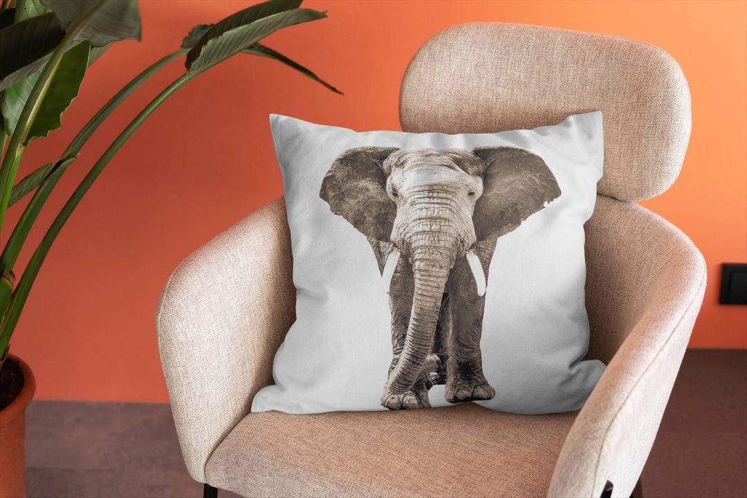 Elephant Pillow Cover - African Wildlife Photography Print - Etsy